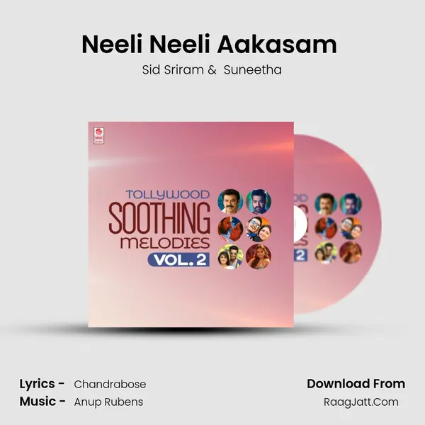 Neeli Neeli Aakasam (From "30 Rojullo Preminchadam Ela") Cover