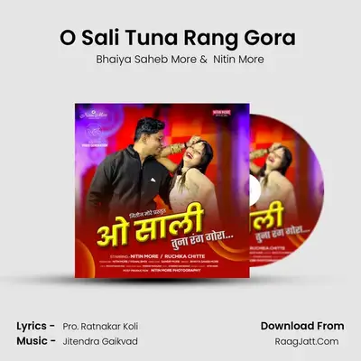 O Sali Tuna Rang Gora (feat. Nitin More) mp3 song
