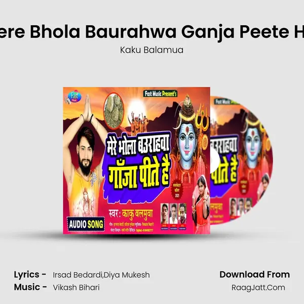 Mere Bhola Baurahwa Ganja Peete Hai mp3 song