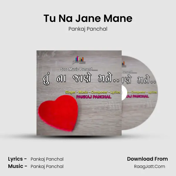 Tu Na Jane Mane mp3 song