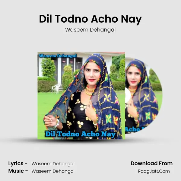 Dil Todno Acho Nay - Waseem Dehangal