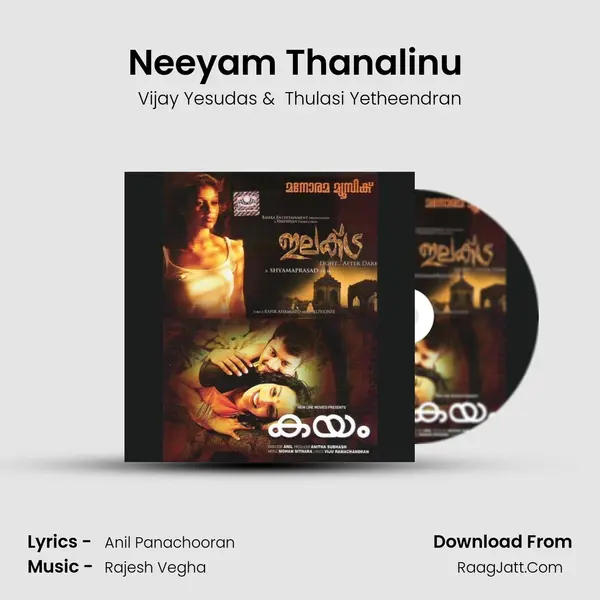 Neeyam Thanalinu (Duet) MP3 Song by Vijay Yesudas Cover