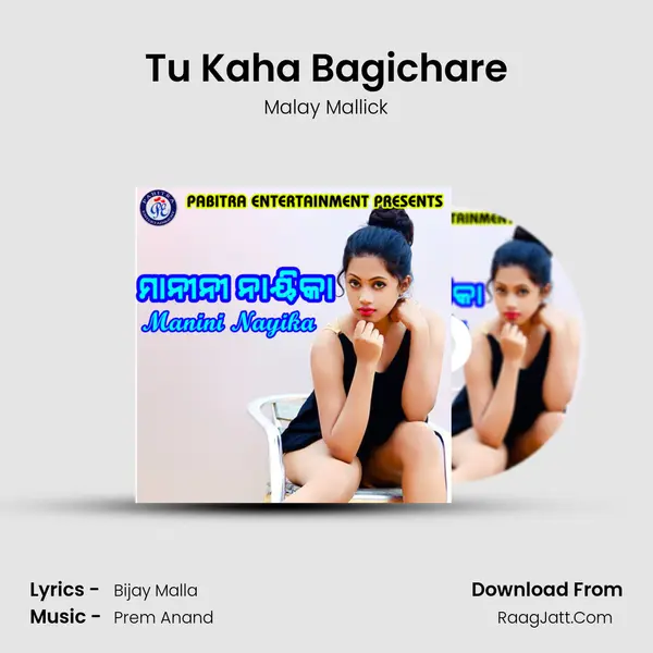 Tu Kaha Bagichare MP3 Song by Malay Mallick Cover