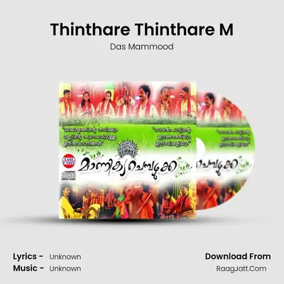 Thinthare Thinthare M MP3 Song by Das Mammood Cover