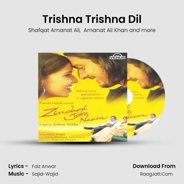 Trishna Trishna Dil MP3 Song by Shafqat Amanat Ali Cover