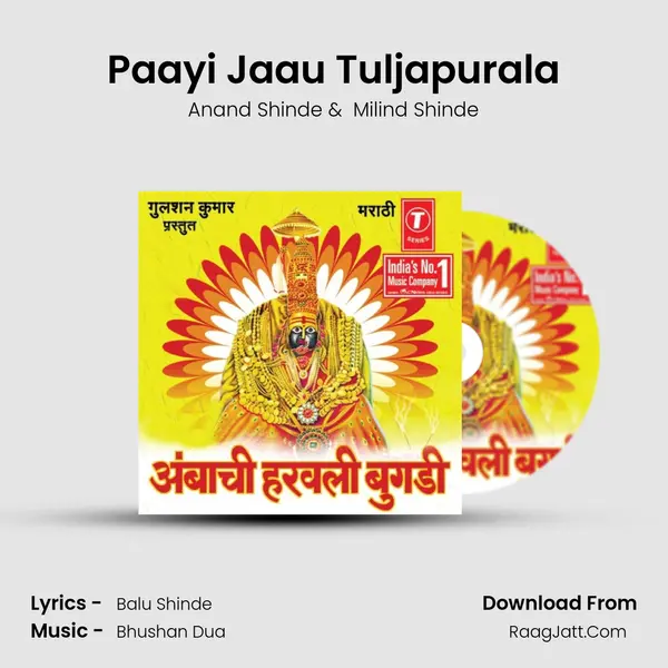 Paayi Jaau Tuljapurala MP3 Song by Anand Shinde Cover