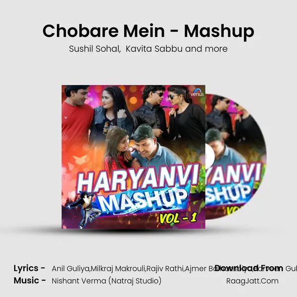 Haryanvi Mashup Vol - 1 - Various Artists