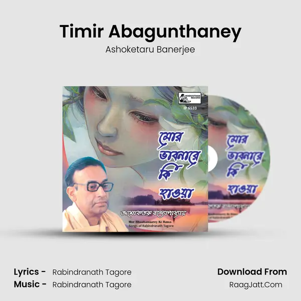 Timir Abagunthaney MP3 Song by Ashoketaru Banerjee Cover