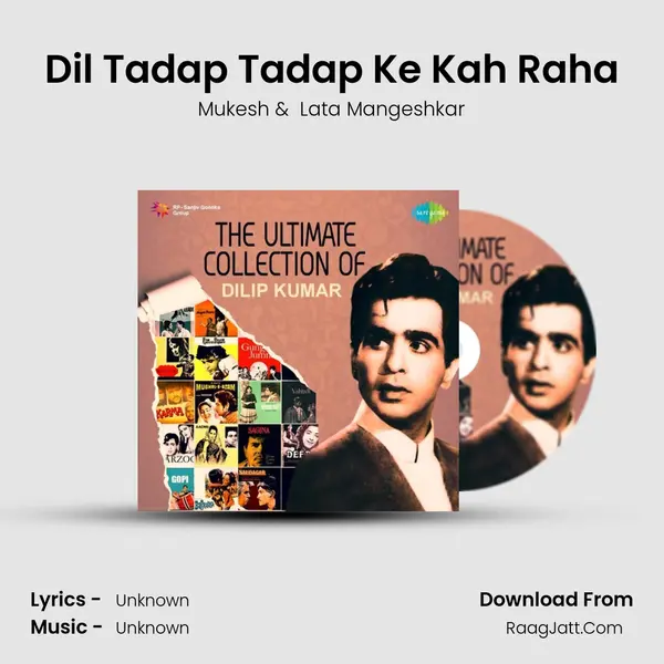 Dil Tadap Tadap Ke Kah Raha Cover