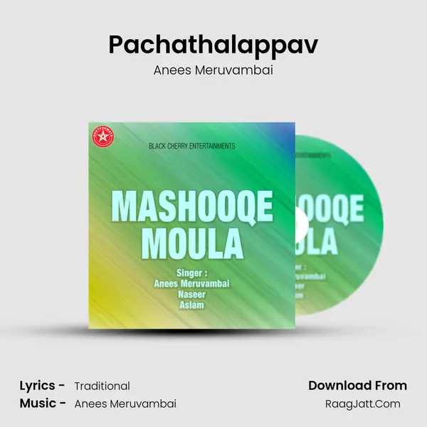Pachathalappav MP3 Song by Anees Meruvambai Cover