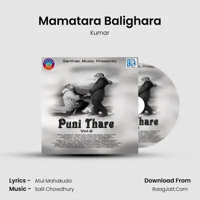 Mamatara Balighara MP3 Song by Kumar Cover