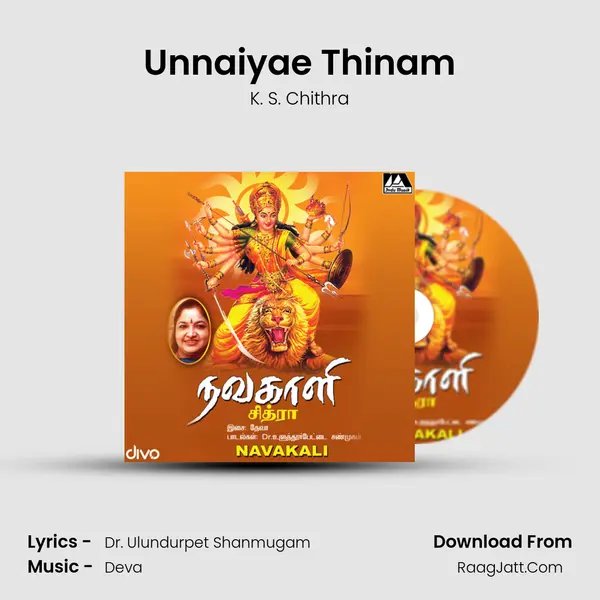 Unnaiyae Thinam MP3 Song by K. S. Chithra Cover
