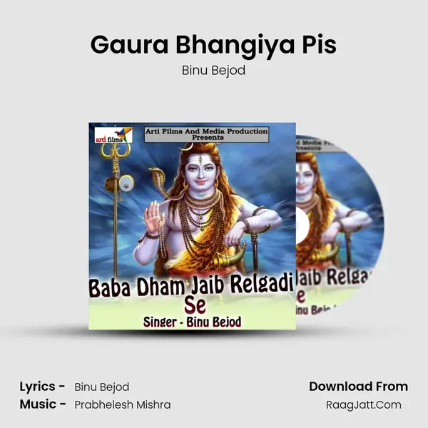 Gaura Bhangiya Pis MP3 Song by Binu Bejod Cover