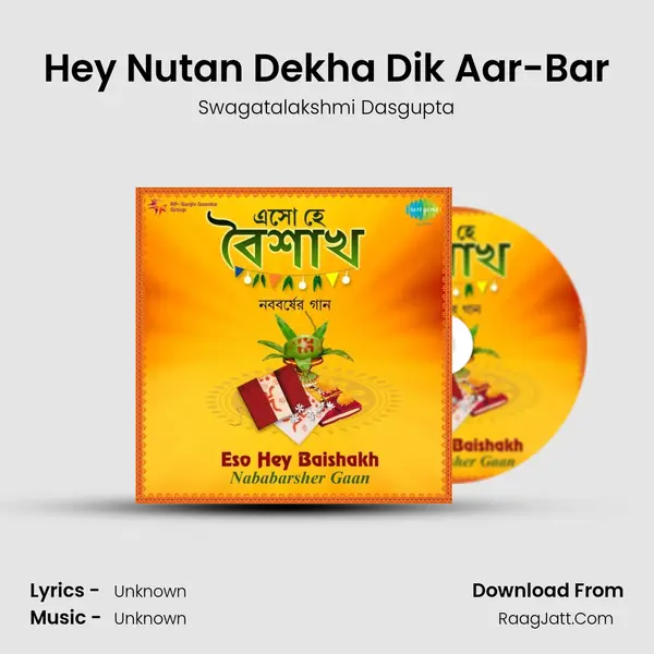 Hey Nutan Dekha Dik Aar-Bar Cover