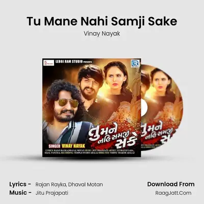Tu Mane Nahi Samji Sake - Vinay Nayak