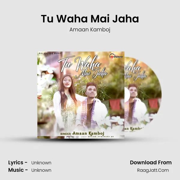 Tu Waha Mai Jaha mp3 song