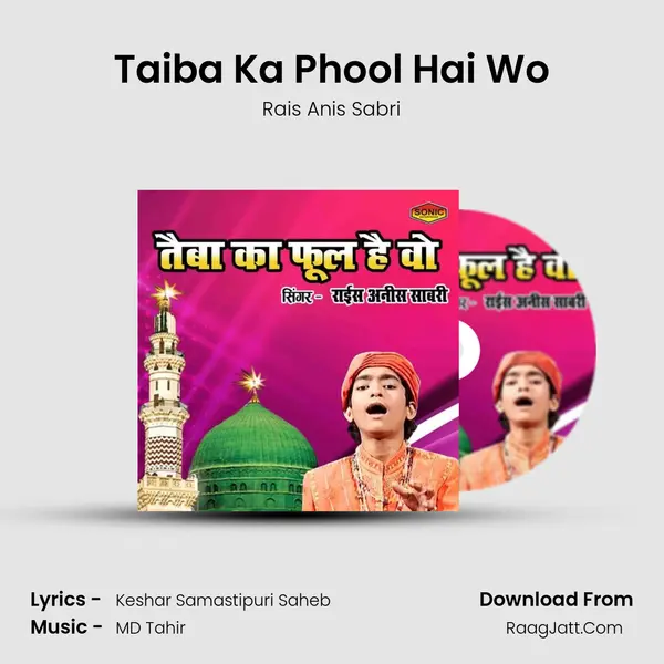 Taiba Ka Phool Hai Wo mp3 song