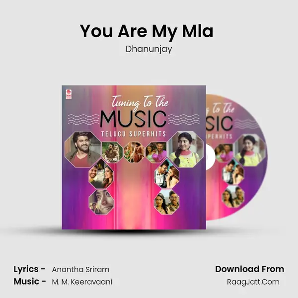You Are My Mla (From "Sarrainodu") Cover