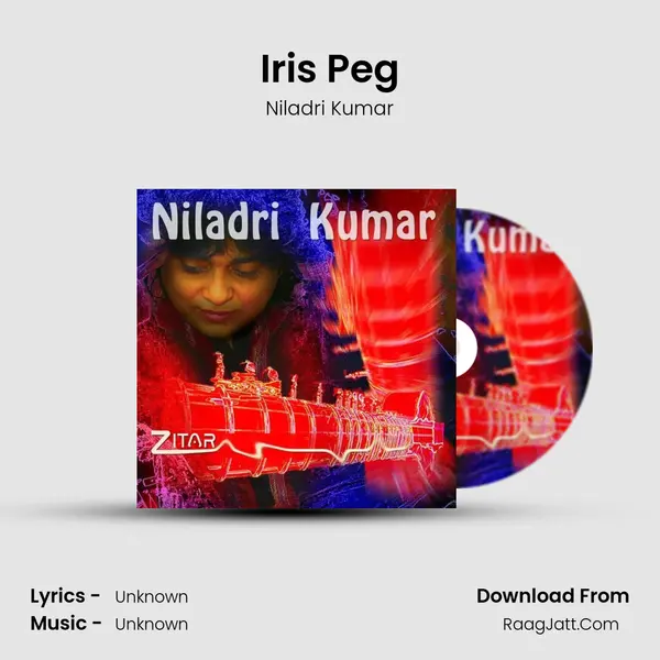 Iris Peg MP3 Song by Niladri Kumar Cover