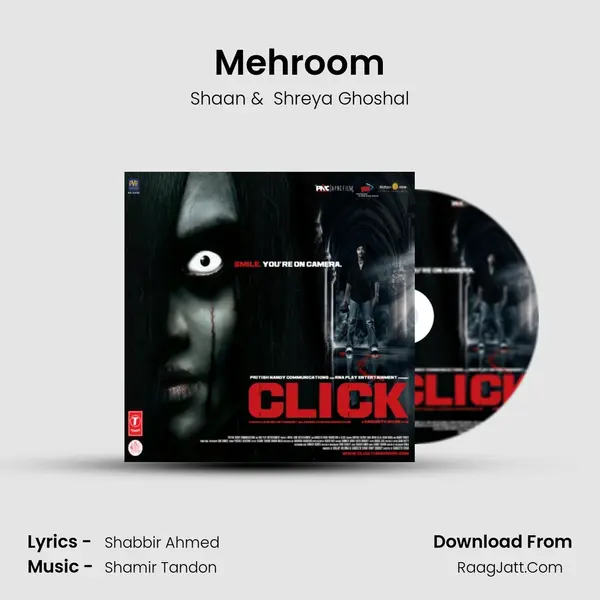 Mehroom MP3 Song by Shaan Cover