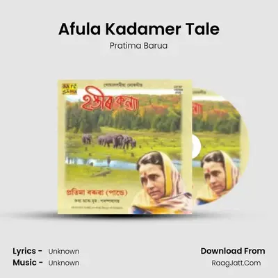 Afula Kadamer Tale Cover