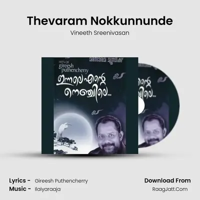 Thevaram Nokkunnunde MP3 Song by Vineeth Sreenivasan Cover