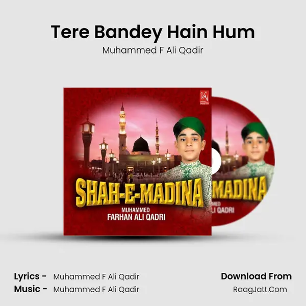 Tere Bandey Hain Hum MP3 Song by Muhammed F Ali Qadir Cover