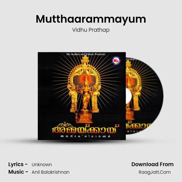 Mutthaarammayum MP3 Song by Vidhu Prathap Cover