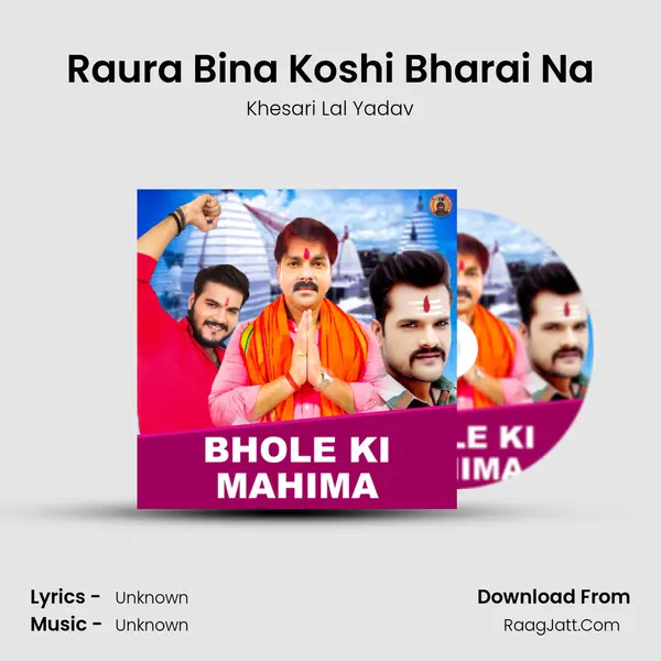 Raura Bina Koshi Bharai Na Cover