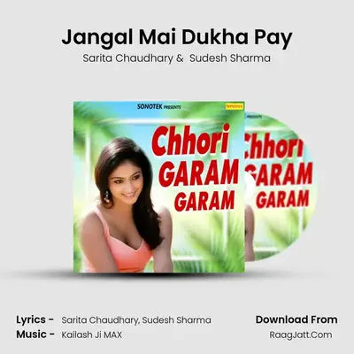 Jangal Mai Dukha Pay Cover