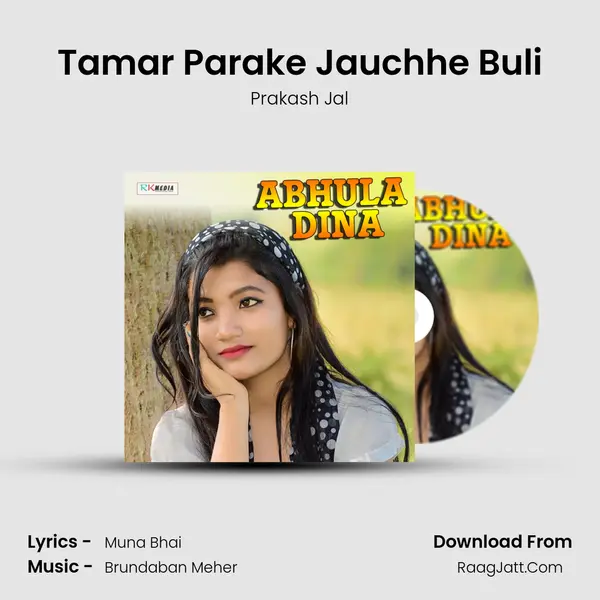 Tamar Parake Jauchhe Buli MP3 Song by Prakash Jal Cover