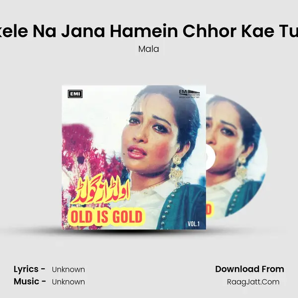 Akele Na Jana Hamein Chhor Kae Tum Cover