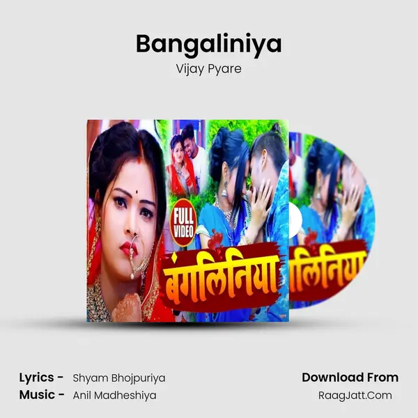 Vijay Pyare
