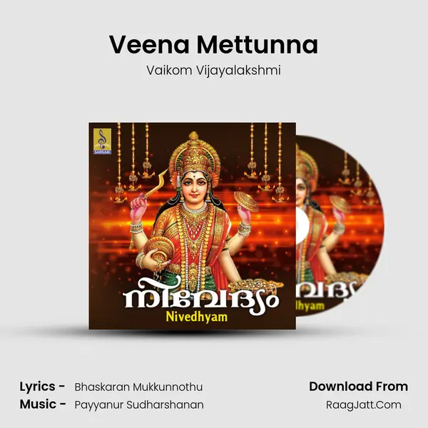 Veena Mettunna Cover