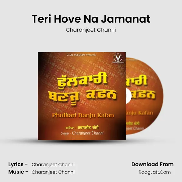 Teri Hove Na Jamanat mp3 song