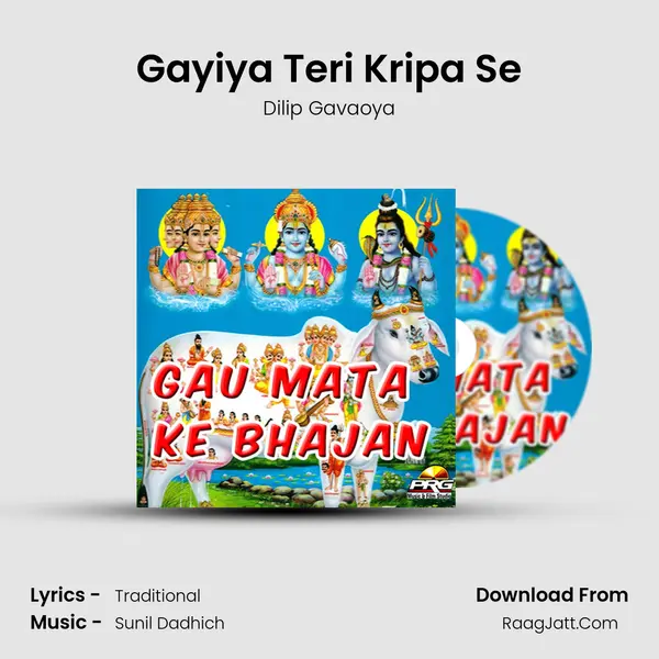 Gayiya Teri Kripa Se mp3 song