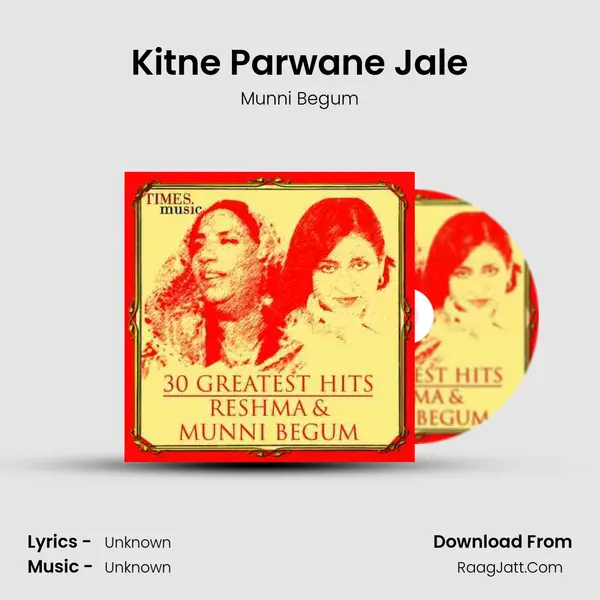 Kitne Parwane Jale Cover