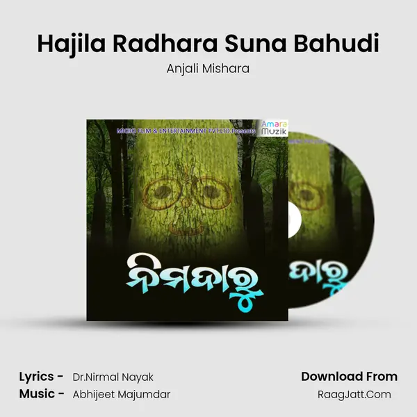 Hajila Radhara Suna Bahudi MP3 Song by Anjali Mishara Cover