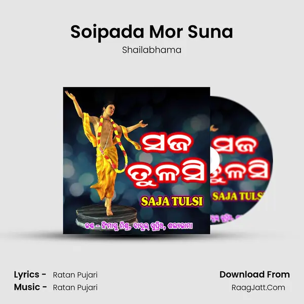 Soipada Mor Suna MP3 Song by Shailabhama Cover