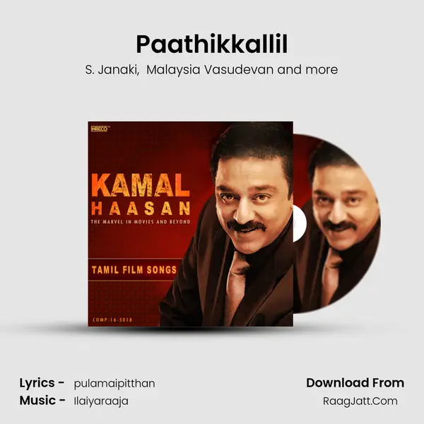 Paathikkallil MP3 Song by S. Janaki Cover