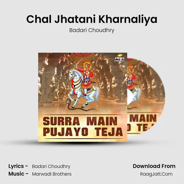 Badari Choudhry