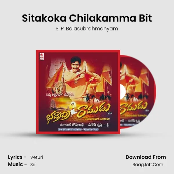 Sitakoka Chilakamma Bit MP3 Song by S. P. Balasubrahmanyam Cover