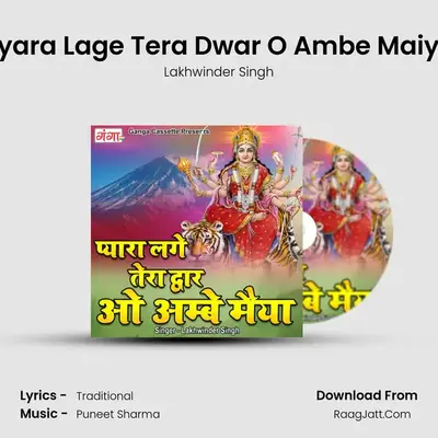 Pyara Lage Tera Dwar O Ambe Maiya mp3 song