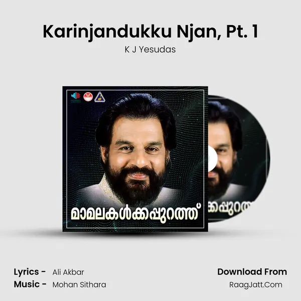 Karinjandukku Njan, Pt. 1 MP3 Song by K J Yesudas Cover