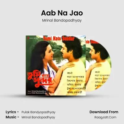 Aab Na Jao MP3 Song by Mrinal Bandopadhyay Cover