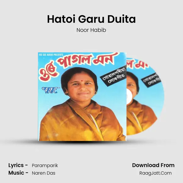 Hatoi Garu Duita MP3 Song by Noor Habib Cover