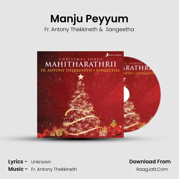 Manju Peyyum MP3 Song by Fr. Antony Thekkineth Cover