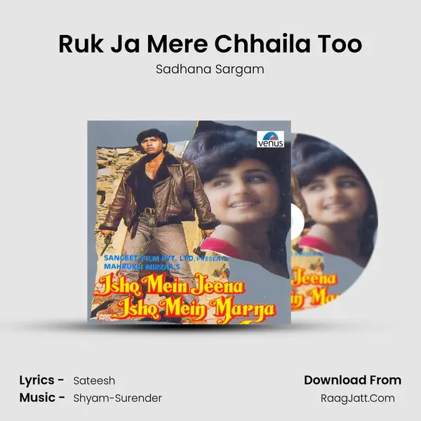 Ruk Ja Mere Chhaila Too MP3 Song by Sadhana Sargam Cover