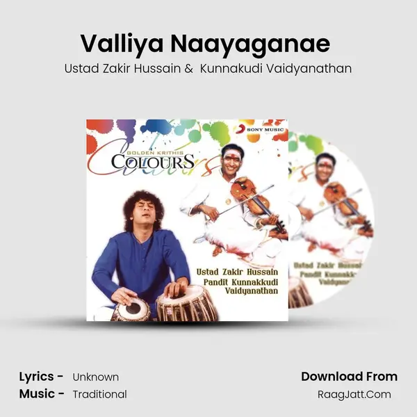 Valliya Naayaganae (Raag Shanmugha Priya) MP3 Song by Ustad Zakir Hussain Cover