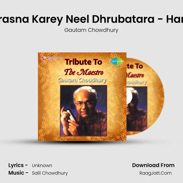 Amay Prasna Karey Neel Dhrubatara - Harmonica mp3 song